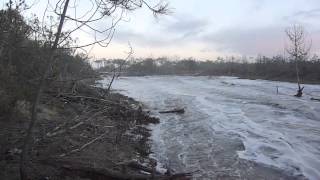 Vague entrante dans la forêt à la pointe de Maumusson [upl. by Otanutrof409]