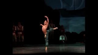 Ivan Vasiliev as Ali  Le Corsaire ABT 2012 [upl. by Mintun]