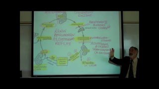 RENINANGIOTENSINALDOSTERONE REFLEX by Professor Finkwmv [upl. by Niuq]