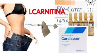 L Carnitina  Cardispan [upl. by Aicac]