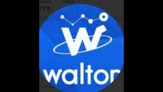 Walton Coin Overview New Crypto Coin [upl. by Vig21]