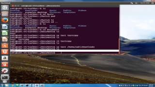 Introduction to Linux and Basic Linux Commands for Beginners [upl. by Deron]