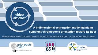 Symbiont Keeps Chromosome Orientation toward Host Curr Biol Aug 29 2019 Vol 29 Issue 18 [upl. by Hamfurd]