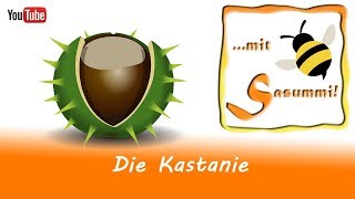 Fingerspiele Singen mit Sasummi  Die Kastanie [upl. by Marala]