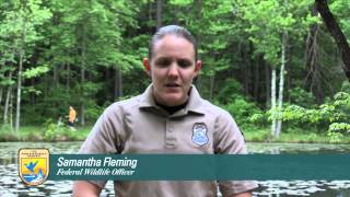 A Day in the Life of a Federal Wildlife Officer [upl. by Haeluj]