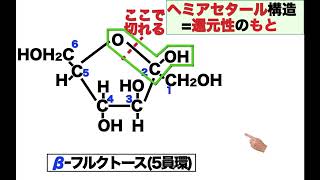 高分子023【発展】フルクトースの構造と性質、DL表記法 [upl. by Anawk]