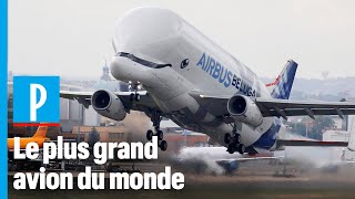 Beluga XL  comment Airbus fabrique le plus grand avion du monde [upl. by Ophelia]