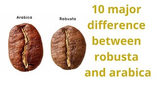 10 Difference Between Coffee Arabica and Coffee Robusta [upl. by Peednus733]