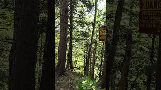 Dangerous Hike Gorge trail Whetstone Gulf NY dakine hiking [upl. by Uy]