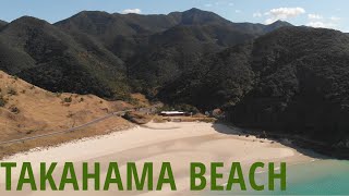 SHOW ME the BEST BEACH in Southern Japan  Takahama Beach [upl. by Laks]