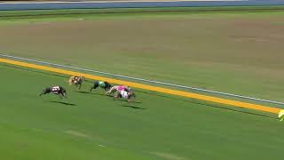 Bundaberg09092024Race6 [upl. by Yursa]