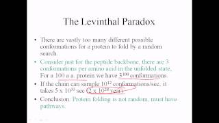 Levinthal paradox [upl. by Nirrep336]