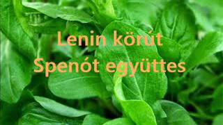 Lenin körút  Spenót együttes [upl. by Anoo]