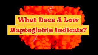 What Does Low Haptoglobin Indicate [upl. by Betteanne]