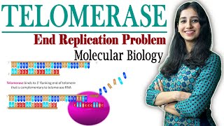 Telomerase Replication II End Replication Problem I Molecular Biology II [upl. by Herman]