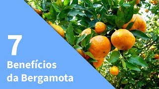 7 Benefícios da Bergamota  O que é Bergamota  Veja os Benefícios dessa Fruta [upl. by Aeneas]