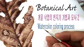 Botanical Art낙엽 반쪽 작업 풀 영상 배속 없이 지루할까요 하지만 여러 번 자세히 보면 기법이 보여요 Watercolor 수채화 botanicalart [upl. by Zakaria]