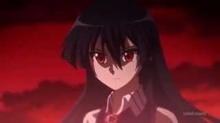 Akame Ga Kill Opening 1  US Toonami Version [upl. by Phenica431]