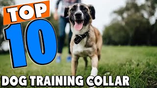 Top 10 Best Dog Training Collars Review In 2024 [upl. by Geoffrey]