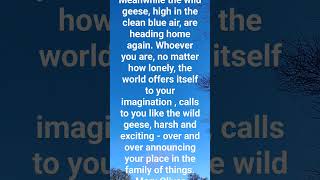 Wild Geese by Mary Oliver [upl. by Nace]