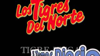 Arnulfo GonzalezLos Tigres del Norte Album Corridos Prohibidos Año 1989 [upl. by Anyehs]