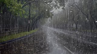 Lluvia Relajante Para Dormir en 6 Minutos  Sonido de Lluvia en el Bosque Brumoso  ASMR [upl. by Truitt]