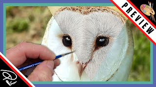 Watercolour Painting tutorial  How to Paint a Barn Owl [upl. by Bowyer]