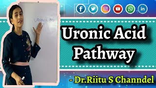 Uronic Acid PathwayGlucuronic acid pathwayBiochemistryBiochemistry of Carbohydrates [upl. by Egin]