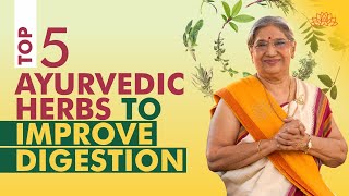 How To Improve Digestion  Top 5 Ayurvedic Herbs For Gut Health  Digestive Problems  Dr Hansaji [upl. by Nnire]