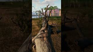 Animalia Survival Kudu Animal [upl. by Saxela]