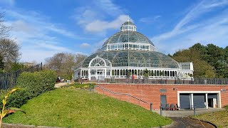 Liverpool  Palm House in Sefton Park [upl. by Peppard470]