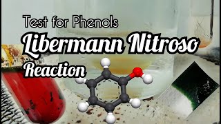 Libermann Nitroso reaction  test for phenols [upl. by Neerom137]