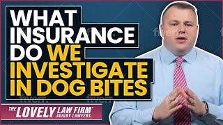 Insurance We Investigate in a Dog Bite Claim  Dog Bite Liability [upl. by Nelg]