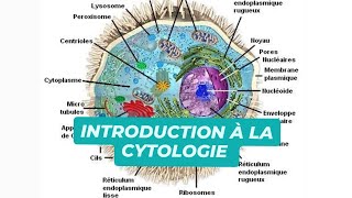 INTRODUCTION A LA CYTOLOGIE [upl. by Aicilaf]