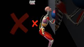 Medicine Ball Wall I Anatomical Analysis [upl. by Annovaj]