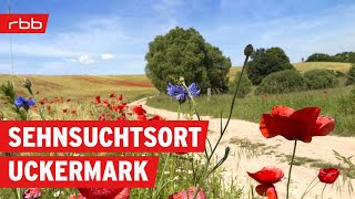 30 Dinge warum die Uckermark ein Sehnsuchtsort ist  Brandenburg erleben  Doku [upl. by Beach990]