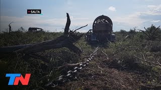 Depredadores el desmonte de hectáreas en chaco salteño  EL INVESTIGA [upl. by Johns]