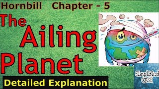 The Ailing Planet  The Green Movements Role  Class 11  Hornbill  Chapter 5  Part 1 [upl. by Carla]