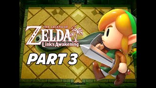 The Legend of Zelda Links Awakening Walkthrough Gameplay Part 3  Key Cavern Nintendo Switch [upl. by Wonacott]