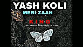 MERI ZAAN  YASH KOLI  zaan sonnekus New songs [upl. by Atinwahs559]