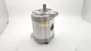 Hydraulic Gear Pump 2550625 2550625 CA2550625 for Caterpillar [upl. by Tepper]