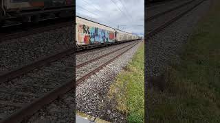 SBB freight train pulled by an Re 420 Passes through Bavois bahn railway trainspotting train [upl. by Hulton999]