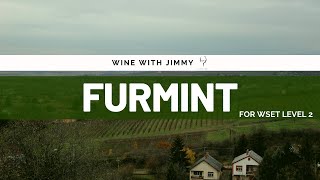 Grape Varieties  Furmint Intermediate Version ideal for WSET Level 2 Wine [upl. by Spillihp]