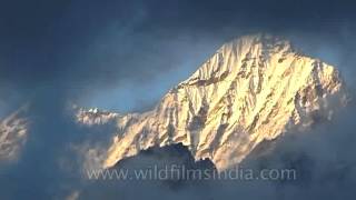 Mt Pandim and views around Kangchenjunga hidden in the mist [upl. by Nilde]