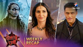 Weekly Recap  Shaitani Rasmein  Kaise layegi Nikki Narbhakshi ke kesh [upl. by Nared]