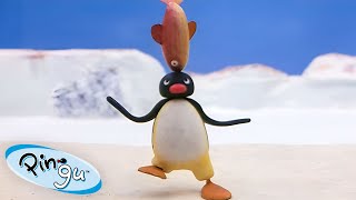 Pingus Favorite Sports 🐧  Pingu  Official Channel  Cartoons For Kids [upl. by Lorene]