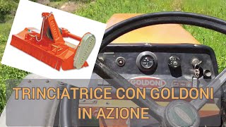 TRINCIATURA CON GOLDONI EURO 26 RS TRINCIATRICE MERITANO CP 135 [upl. by Okomot]