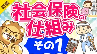 第441回 社会保険の仕組み【お金の勉強 初級編 】 [upl. by Onitrof]