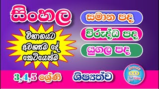 සමාන පද  විරුද්ධ පද  යුගල පද  345 ශ්‍රේණි  ශිෂ්‍යත්ව [upl. by Docia38]