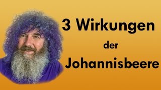 3 Wirkungen der Johannisbeere [upl. by Noemi]